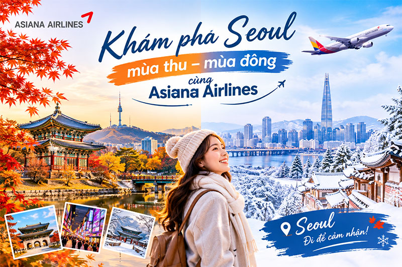 Asiana Airlines ưu đãi Hà Nội - Seoul giá chỉ từ 80 USD